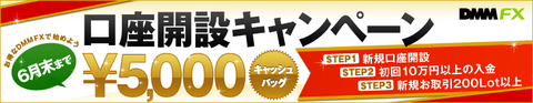 lp_cp1106_open