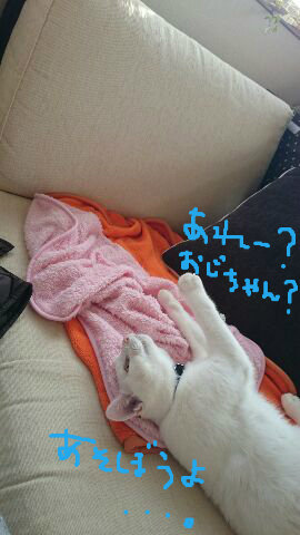 BlogPaint