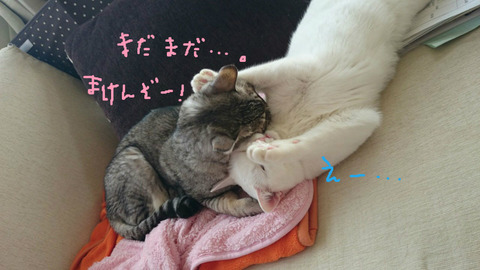 BlogPaint