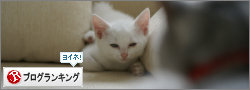 BlogPaint