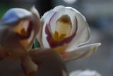 9793d766.jpg