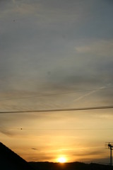 ����Υ� 015