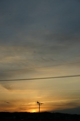 21-2-18-����Υ�- 006