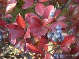 21-2-8-�쥫���� 057