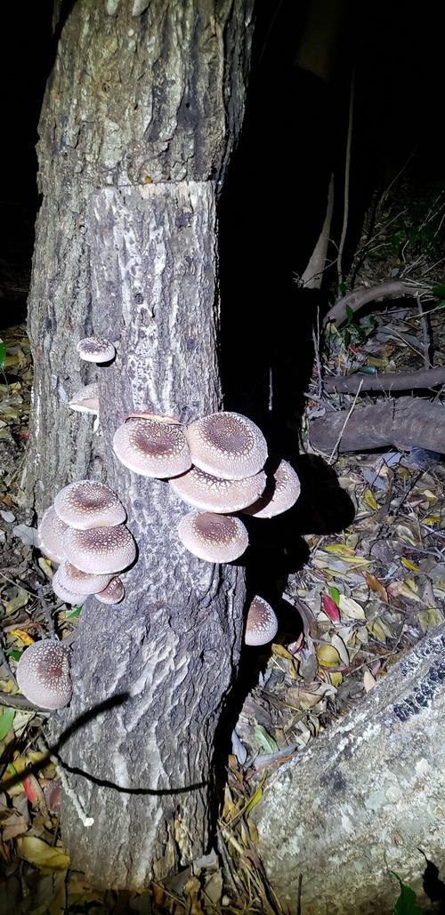 20181113_173425