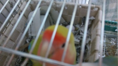 IMAG3841