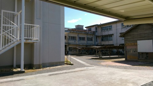 IMAG3888