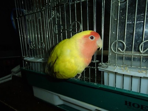20131227_08_R