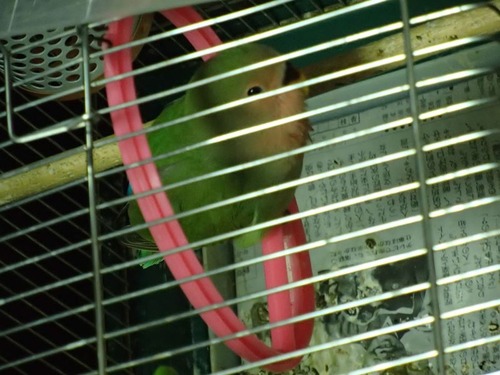 20131224_08_R
