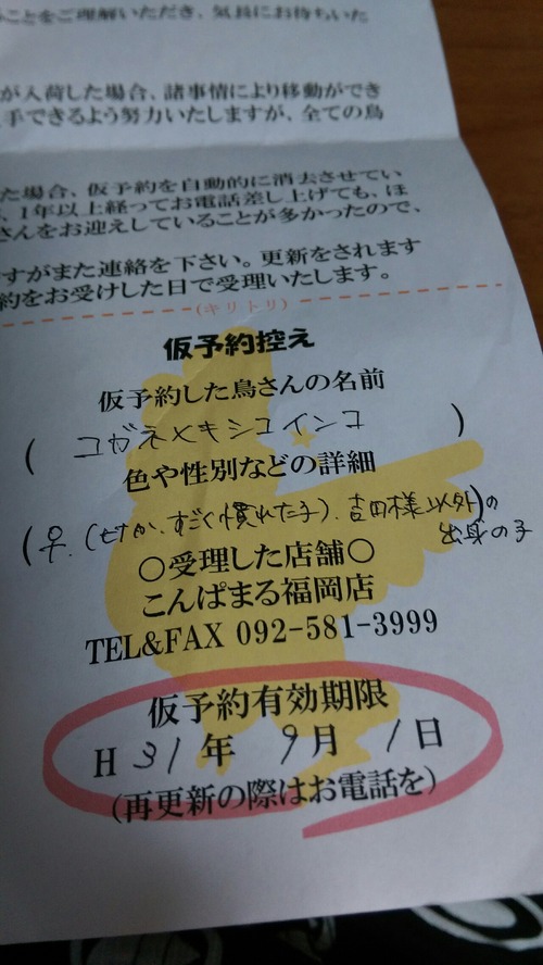 IMAG5325