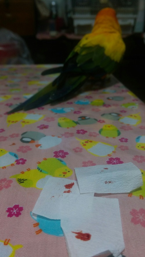 IMAG4462
