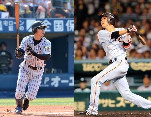 1-C-HOM519