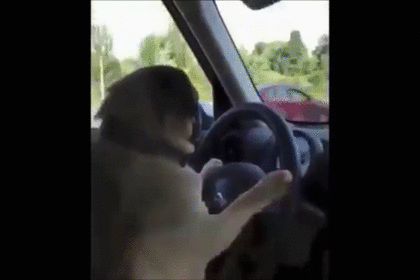 391