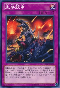 SHSP-JP079