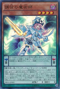 DBLE-JP002