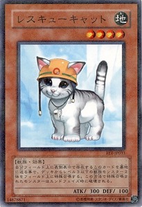 FET-JP033