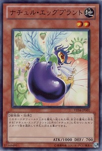VE04-JP001
