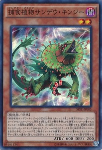 SPFE-JP005