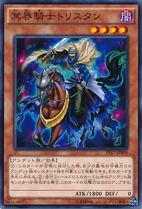 PP17-JP009