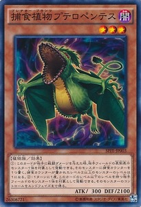 SPFE-JP003