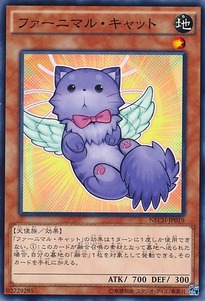 NECH-JP019