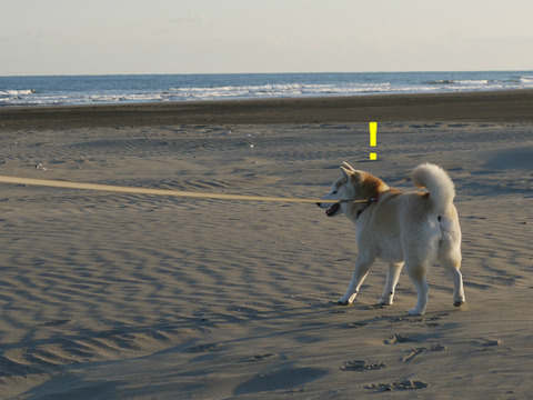 BlogPaint