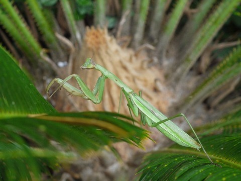 P1270897