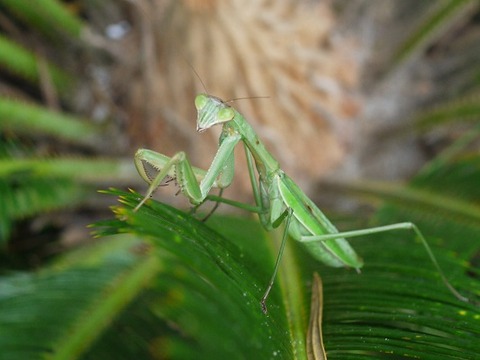 P1270898
