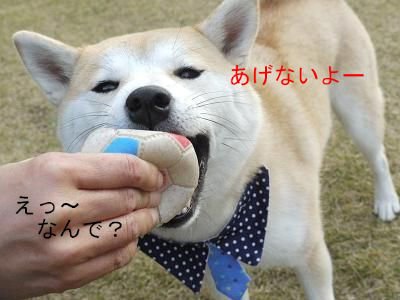 ボール遊び-2