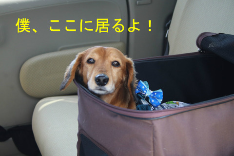 BlogPaint