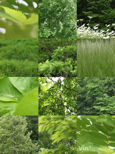 green_09