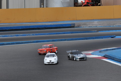 DSC_9553 (1)