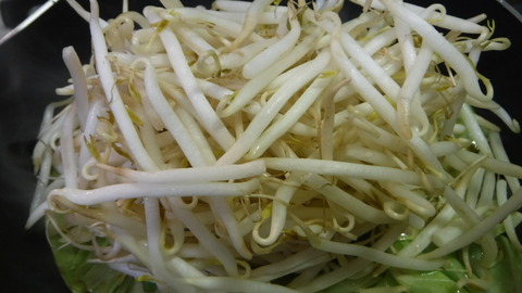 DSCF8510