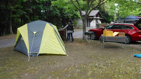 DSCF7349