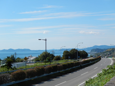DSCN0984