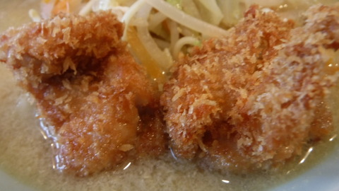 DSCF8420