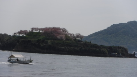 DSCF6187