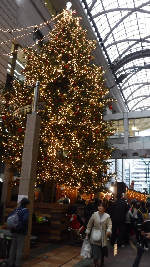 DSCF6010
