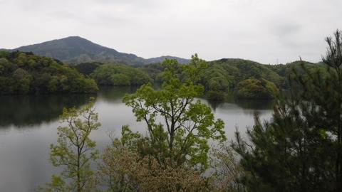 DSCF7383