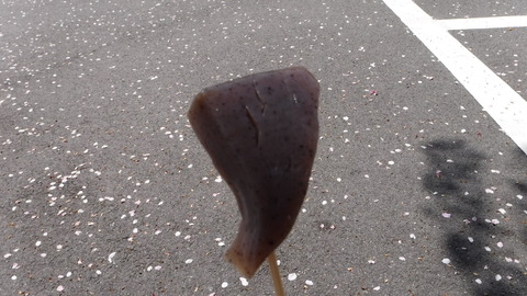 DSCF6212