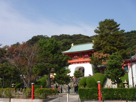 DSCF5531