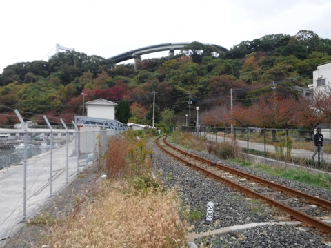 DSCF5579
