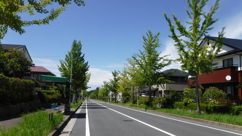 DSCF8388