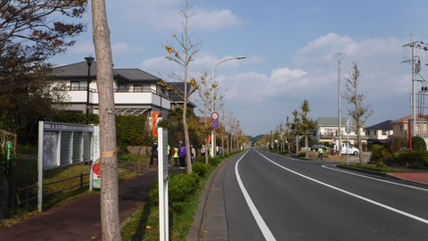 DSCF5463