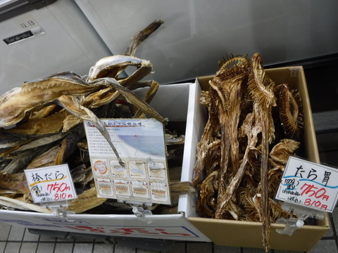 DSCF5561