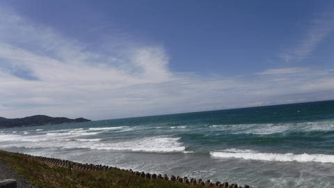 DSCF8392