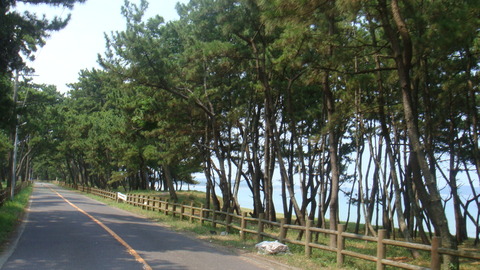 DSC06365