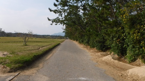 DSCF5464