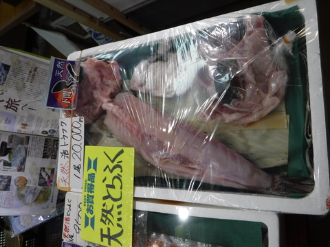DSCF5558
