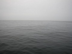 IMGP6706